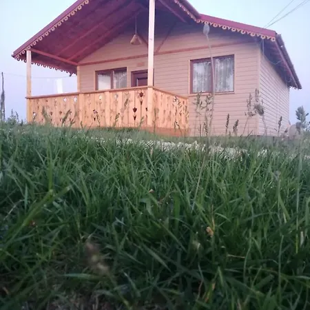 Casa de hóspedes De Lemn Stone