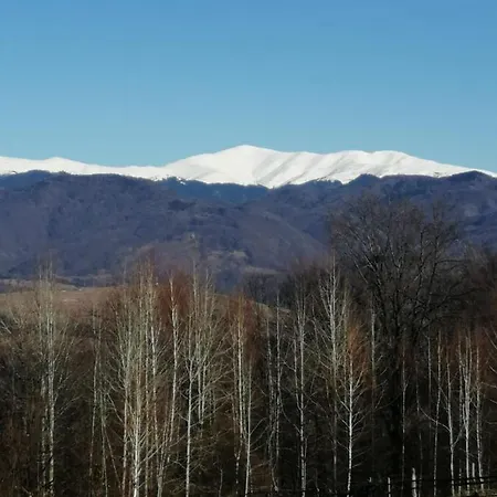 De Lemn Stone Runcu (Dambovita)