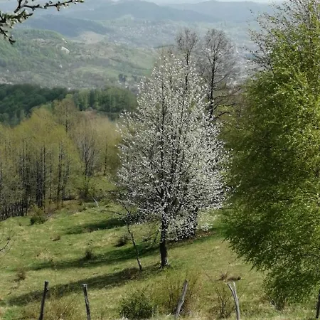 Casa de hóspedes De Lemn Stone Runcu (Dambovita)